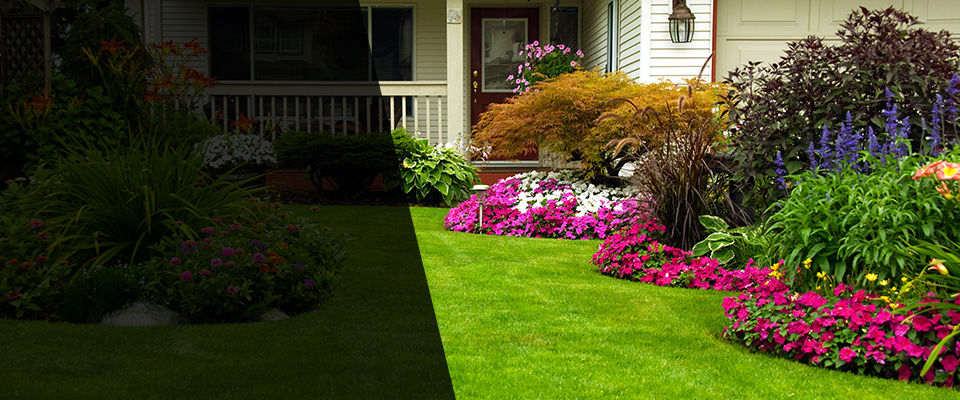 Livermore Landscapers