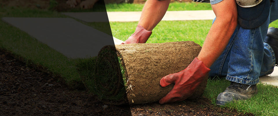 Livermore Landscapers
